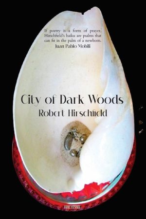 City of Dark Woods
