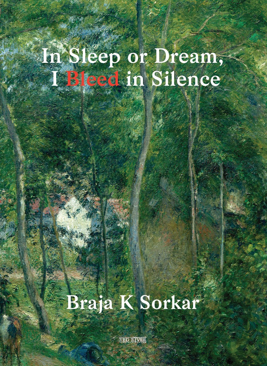 In Sleep or Dream, I Bleed in Silence